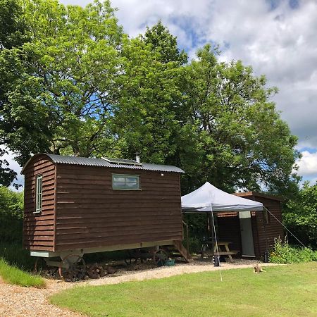 The Shepherds Hut At The Shippen, Tiphayes โฮนิทัน ภายนอก รูปภาพ