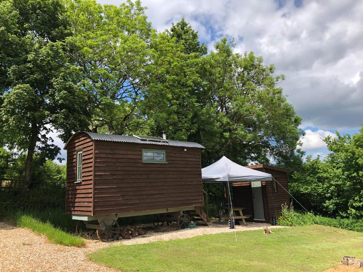 The Shepherds Hut At The Shippen, Tiphayes โฮนิทัน ภายนอก รูปภาพ